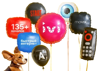 Услуги Дом.ру в село Витовка